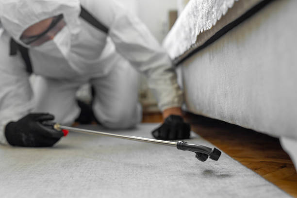 Professional Bed Bug Control technician working in Leavenworth County County, KS